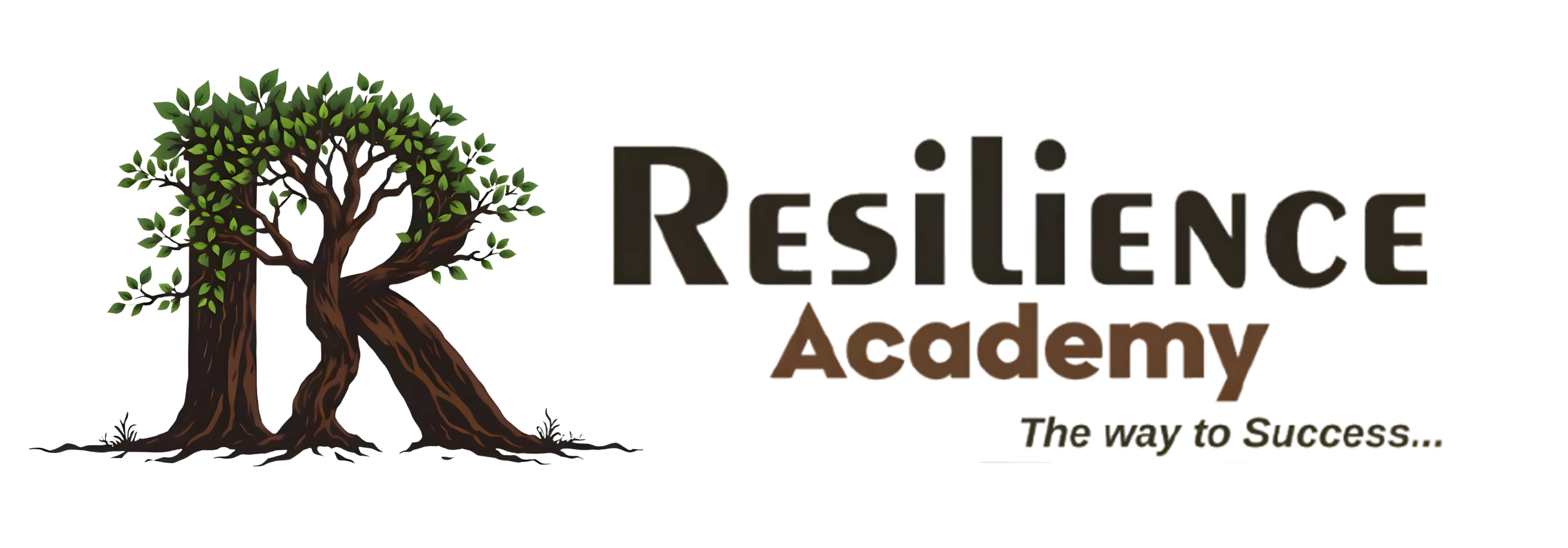 Resilience Academy